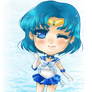 Gift- Sailor Mercury