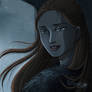 The Lady of Winterfell - Sansa Stark