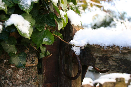 Fallen snow upon gate