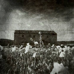 Blackfield No.1