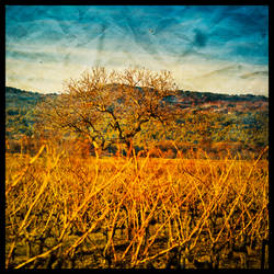 Blackfield No.5