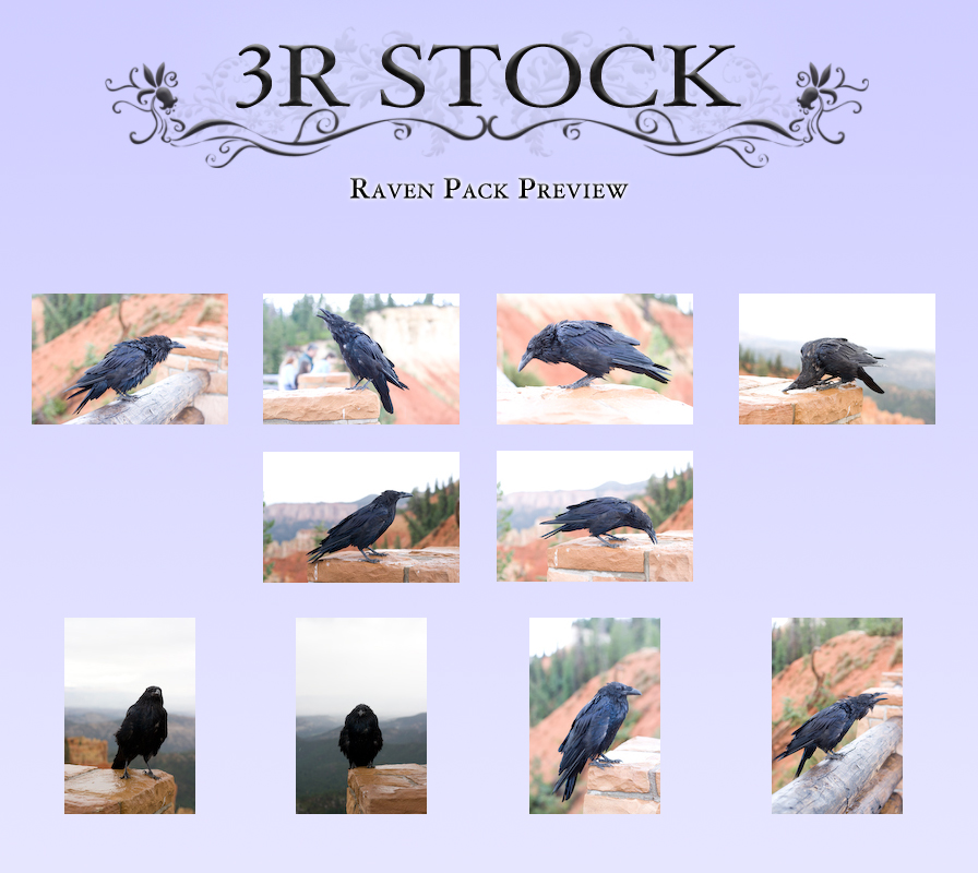 Raven Pack Preview