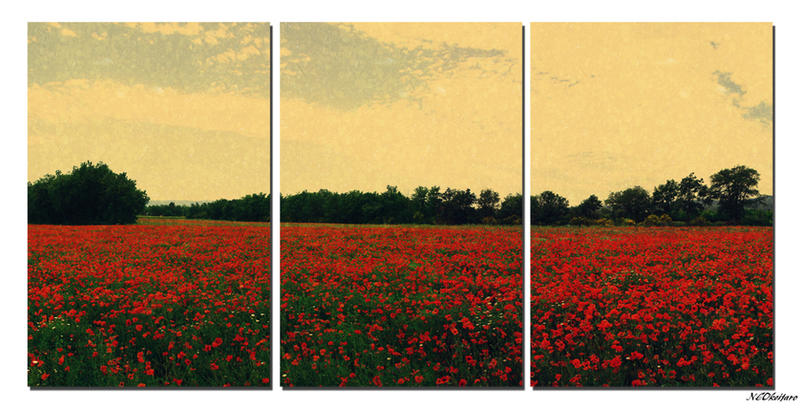 Vintage Country Triptych