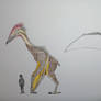 Valkyriopteryx Hygieia