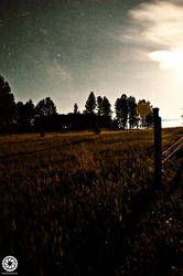 Star Field by photosynthetique