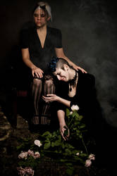 The Grieving Widow by photosynthetique
