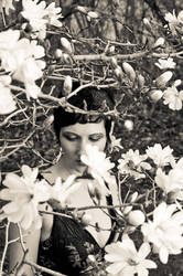 Heather in Flowers by photosynthetique