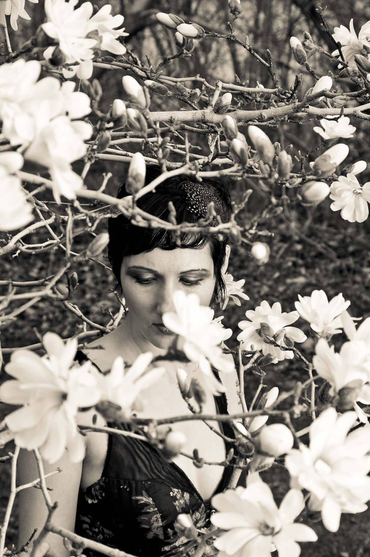 Heather in Flowers by photosynthetique