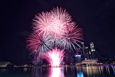 Singapore Fireworks - Tree of life