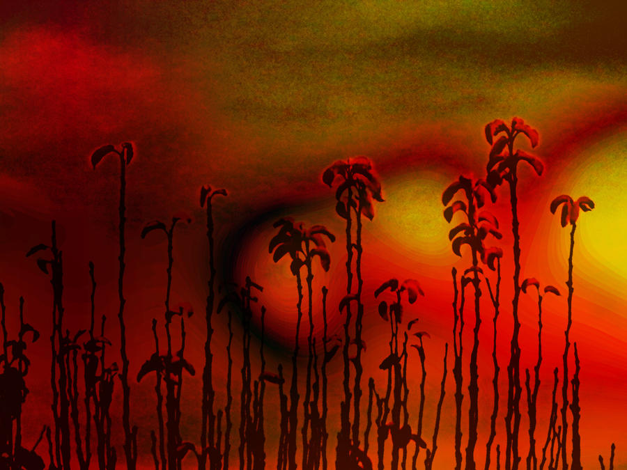 Target Stalks Stalks by robjoeball1 on DeviantArt