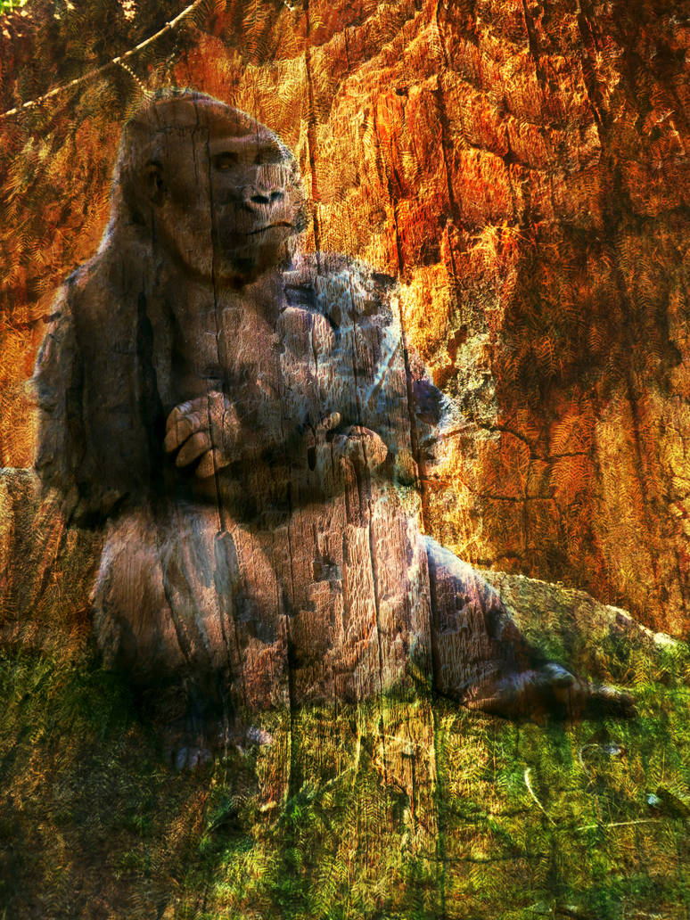 Silverback by robjoeball1 on DeviantArt