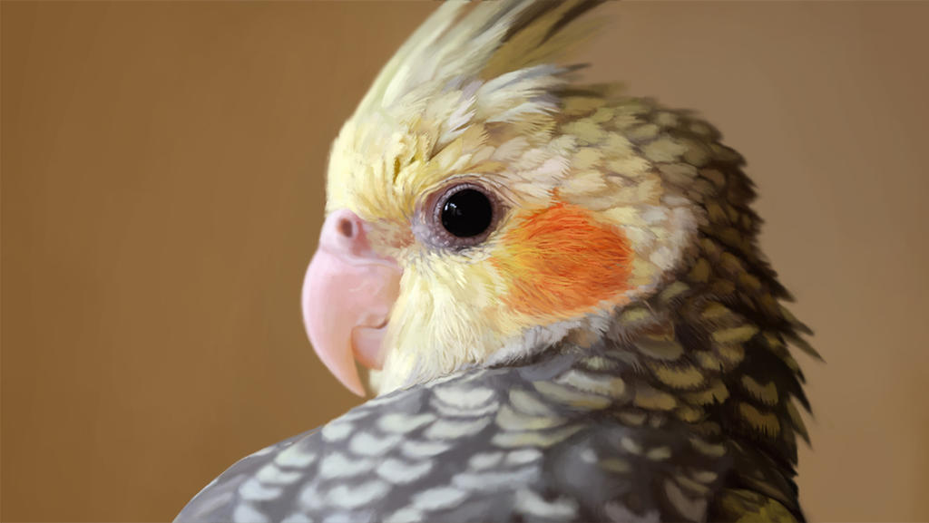 Realistic Birb