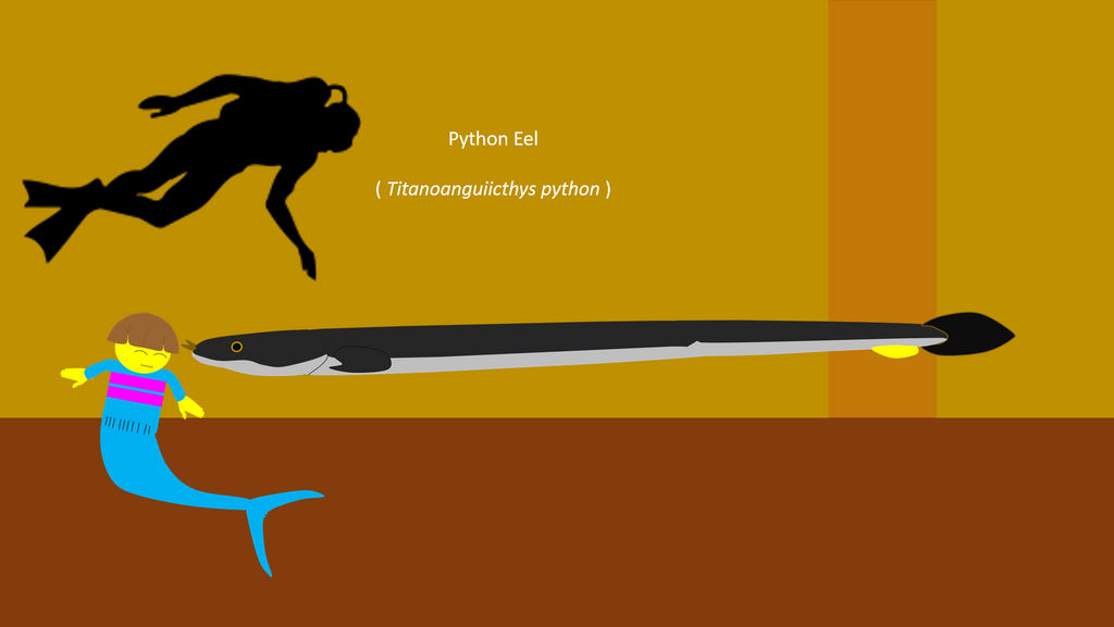 The Python Eel ( Titanoanguiicthys python) by sharkboy17 on DeviantArt