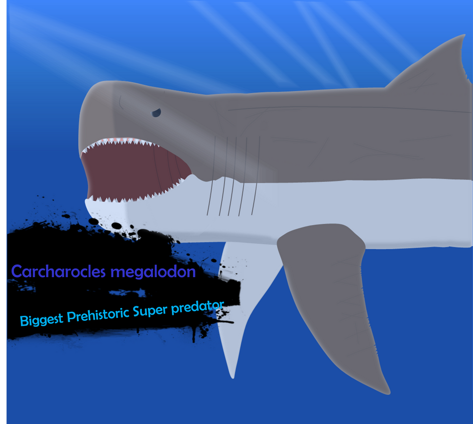 Megalodon For Smash Ultimate by sharkboy17 on DeviantArt Megalodon For Smash Ultimate by sharkboy17 on DeviantArt