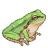 Frog (free to use)