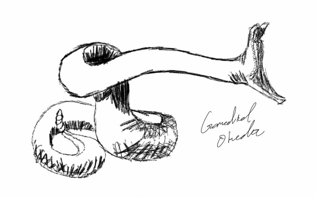 Rattle Snake by GubtasticMan on DeviantArt