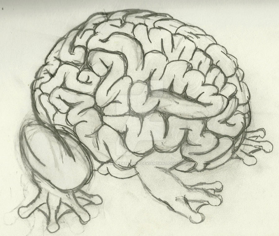 Brain Frog by Lenore619-Void on DeviantArt
