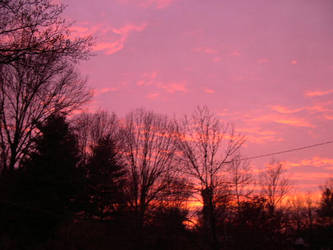 Backyard Sunset