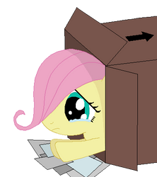 Flutterfilly: Lost