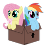 Best Box Friends Forever