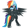 Rainbow Dash: Pony Evolved