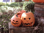 Carved Pumpkins -1 by marinaneirastock