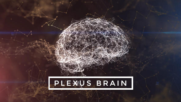 Plexus Brain Rotation