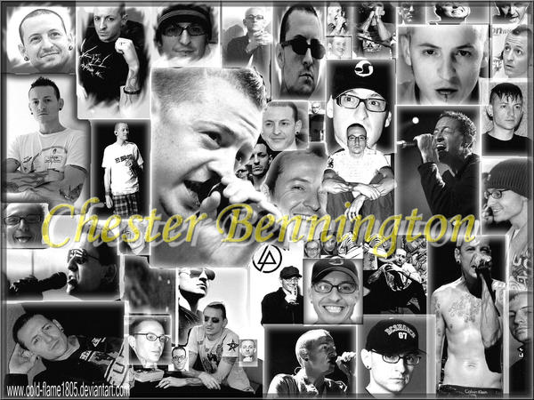 Chester Wallpaper by cold-flame1805 on DeviantArt