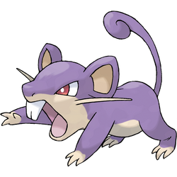 Evil Rattata