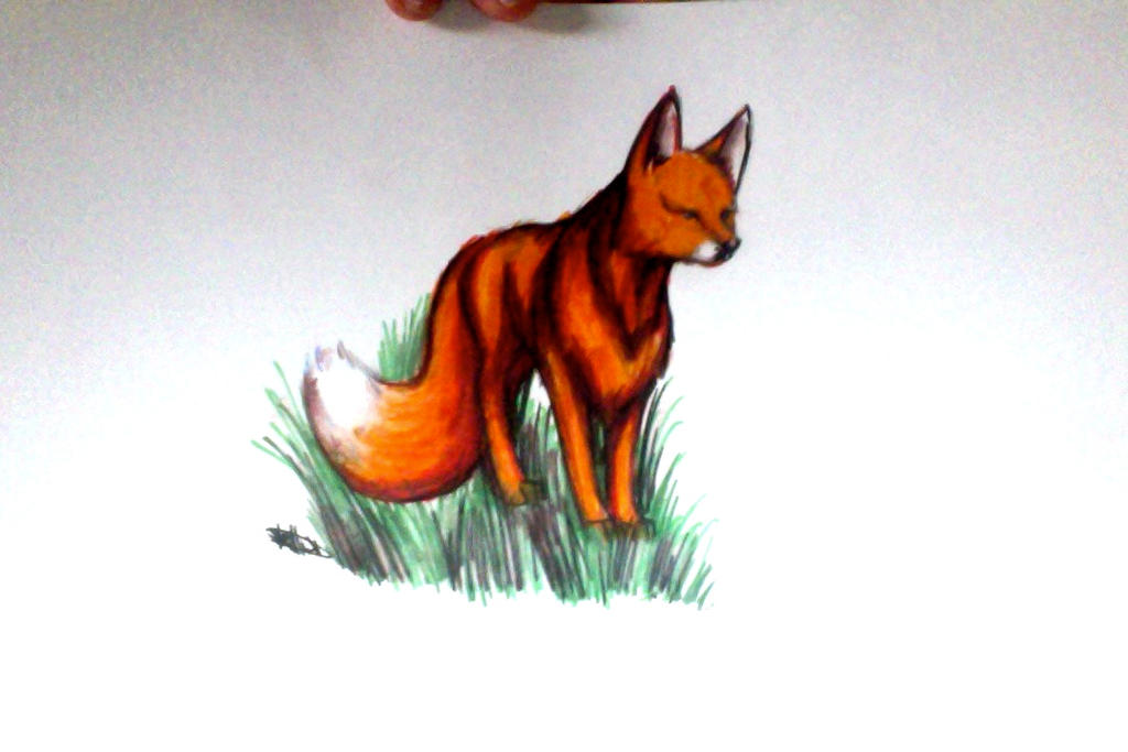 Red Fox by KarnelianKallie on DeviantArt