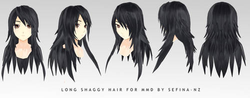 Long Shaggy hair+DL