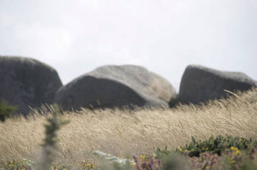 Three Stones and dancing hay