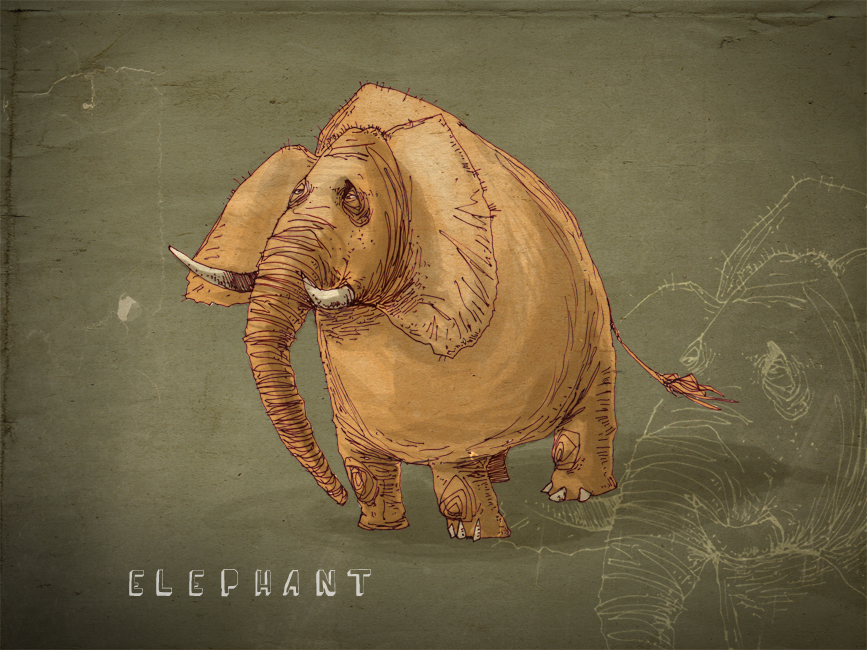 elephant