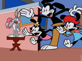 Screenshot Redraw: Animaniacs (1993)