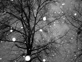 falling snowflakes