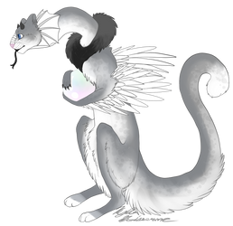 Another Dragon Cat (Pygmy Pearl Dragon)