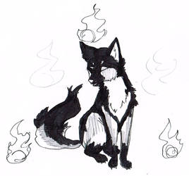 Black Fox 1