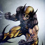 Wolverine