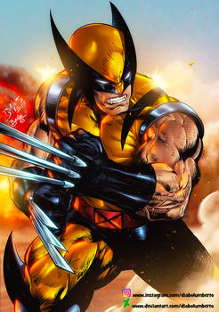 Wolverine