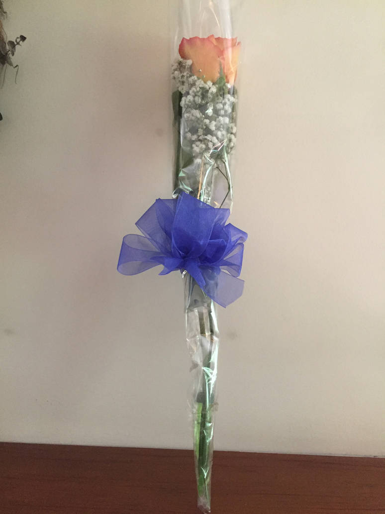 Graduation Flower by horrorshowfreak on DeviantArt