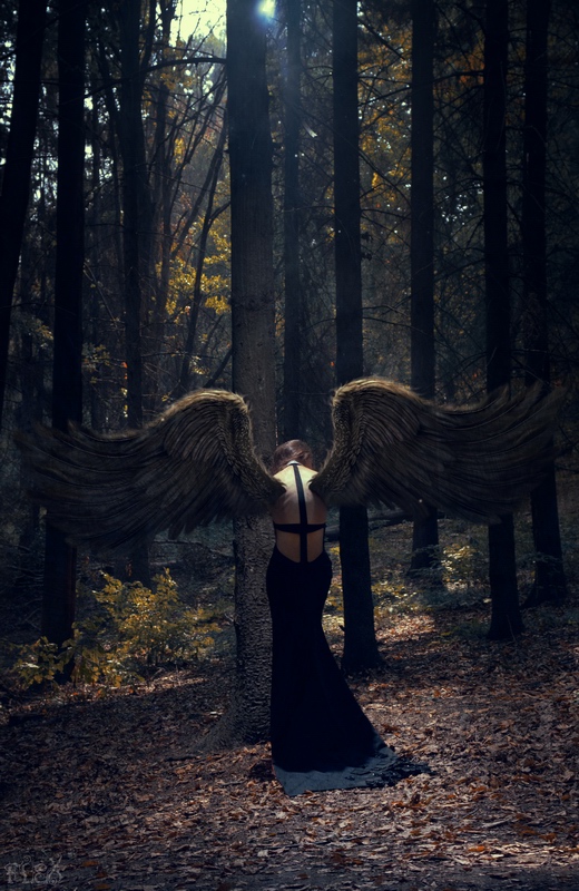 Wings Of Sorrow