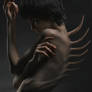 Excrescence