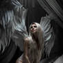 Angel of Light