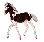 4625 Padro Foal Design by buckuroo