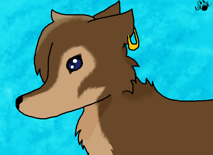 Kind of fail because of the muzzle, this is Cocoa