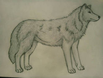 Wolf~