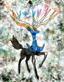 XERNEAS, a Fairy-Type Pokemon?