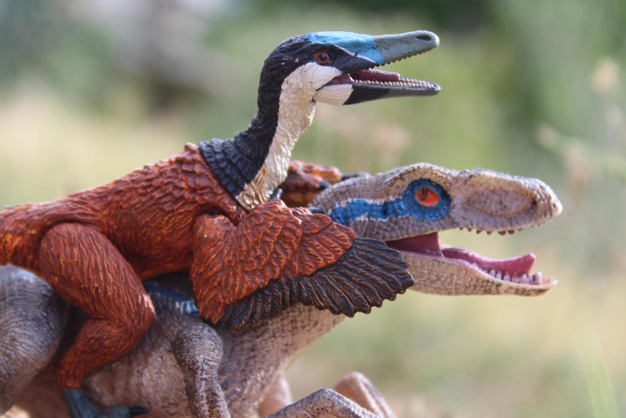 Raptor Rider Deviantart Raptor riding another Raptor by Daemonxdog on DeviantArt