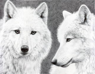 Arctic Wolves