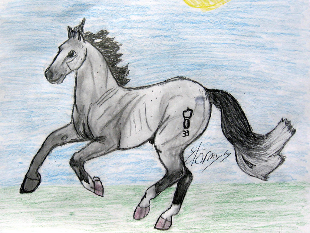 Breyer horse Ideal Drawing